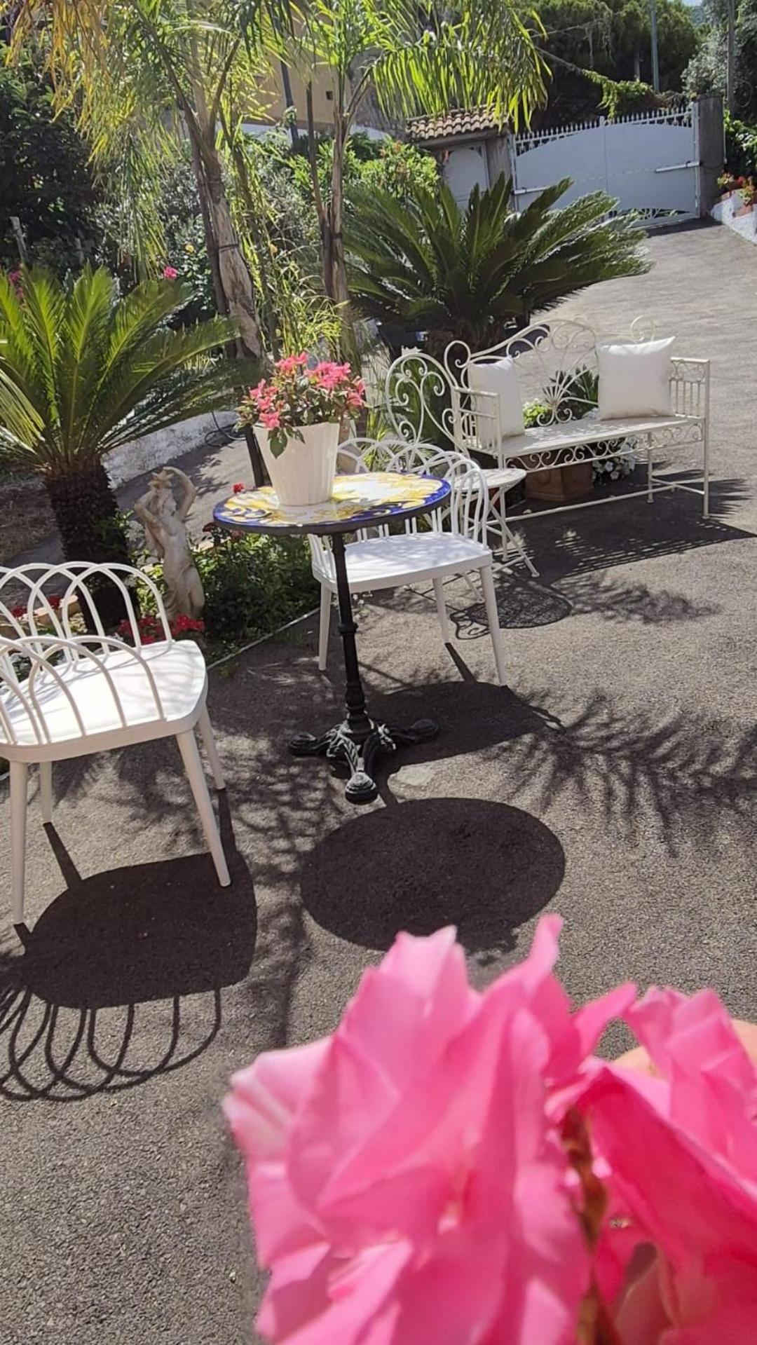 La Vigna Del Vento Bed & Breakfast Casola di Napoli Ngoại thất bức ảnh